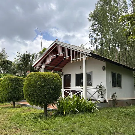 Greenview Homestay Chikmagalur Exterior photo