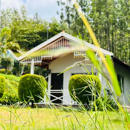 Greenview Homestay Chikmagalur Exterior photo