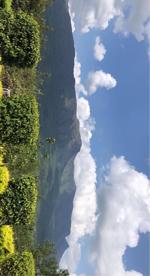 Greenview Chikmagalur