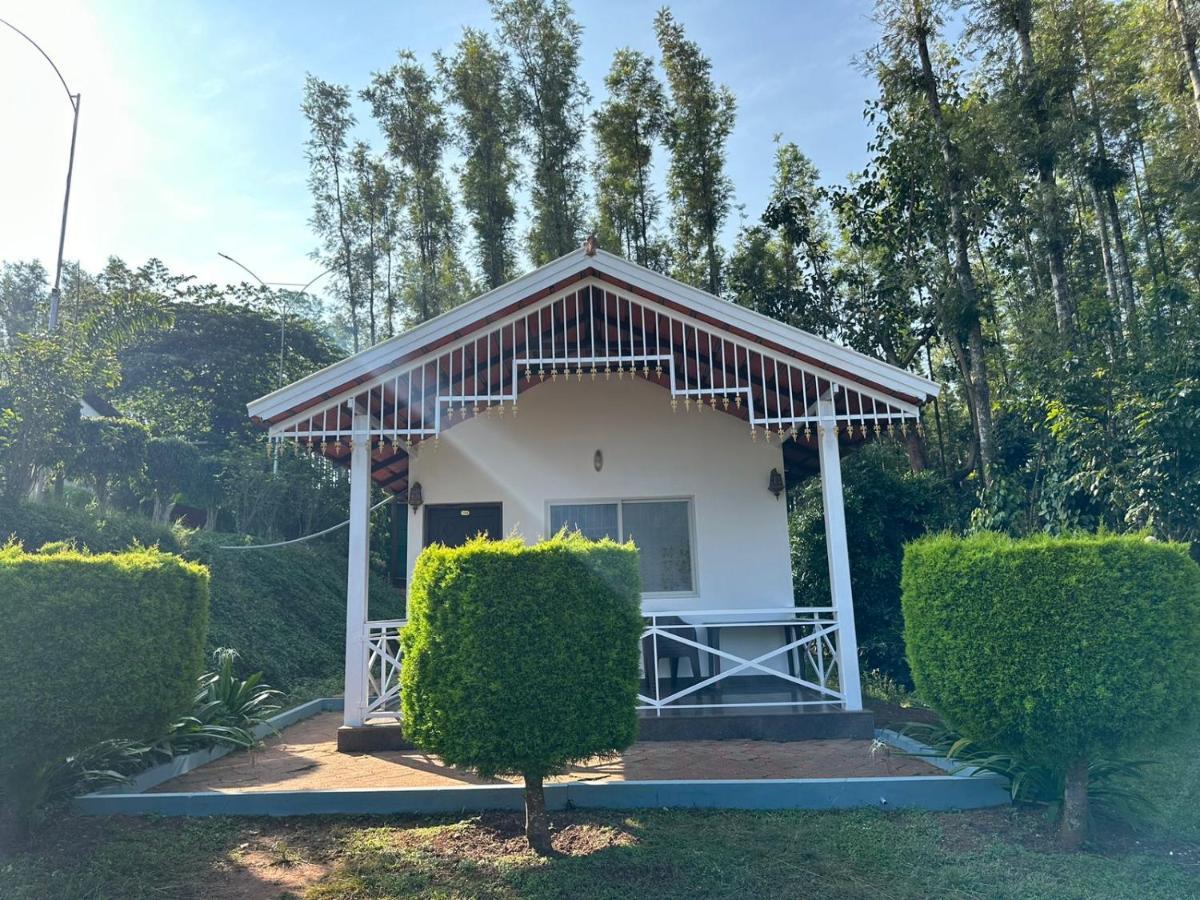 Greenview Homestay *